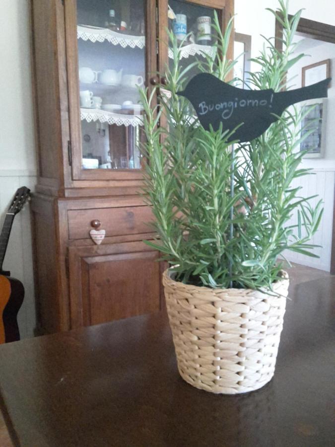Agriturismo Cioccoleta Orvieto Kültér fotó