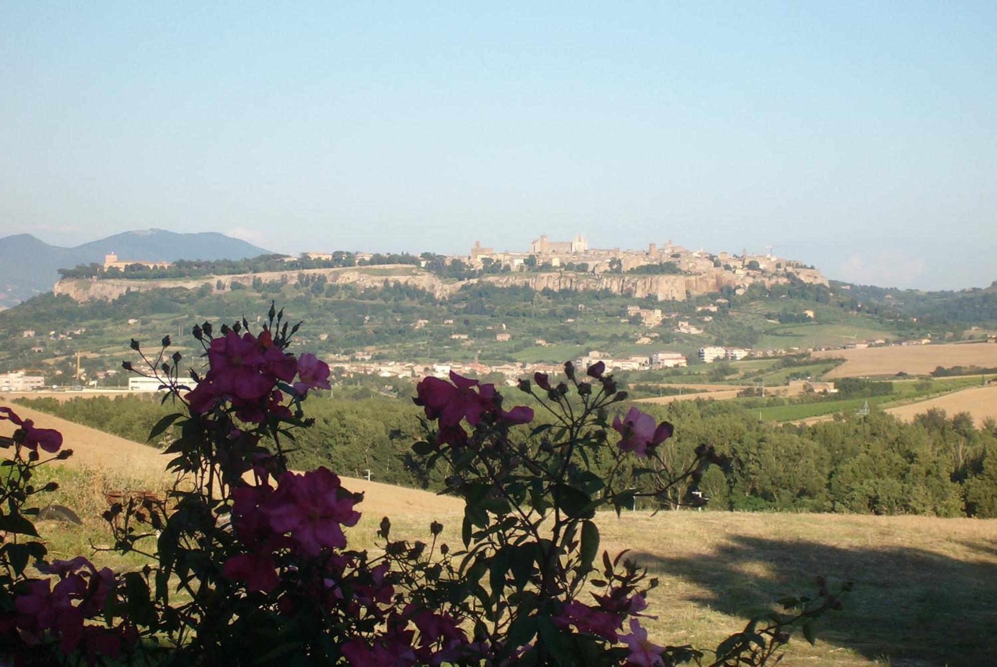 Agriturismo Cioccoleta Orvieto Kültér fotó