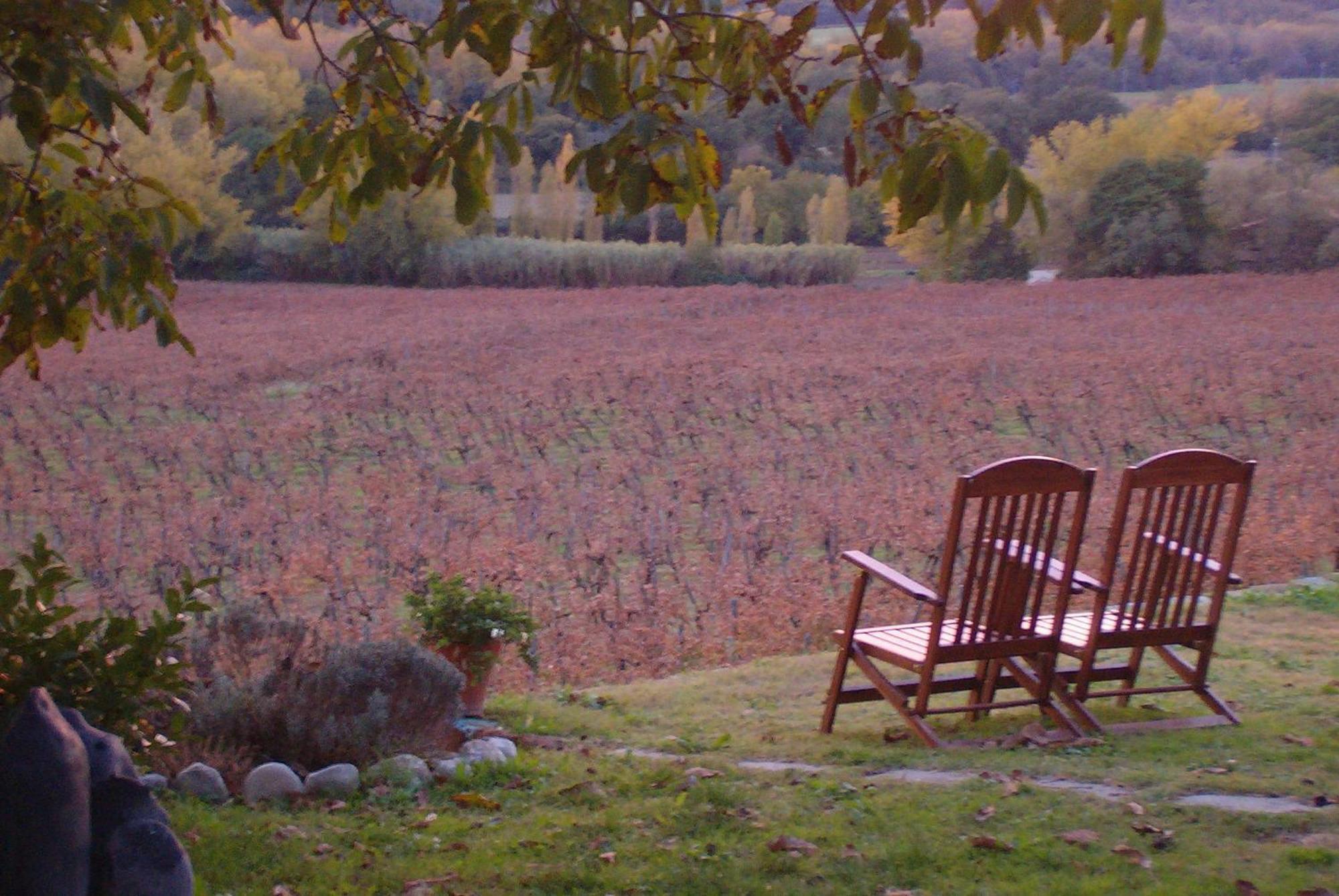 Agriturismo Cioccoleta Orvieto Kültér fotó