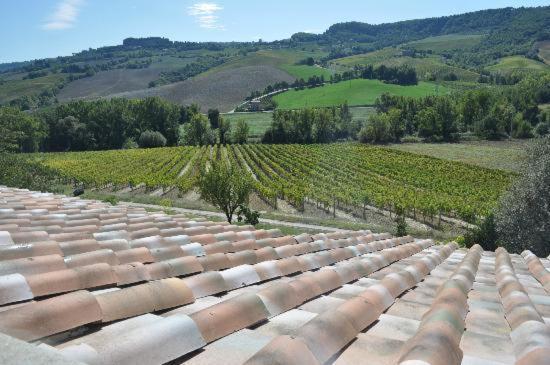 Agriturismo Cioccoleta Orvieto Kültér fotó